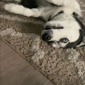 Meet your Posher, Colton